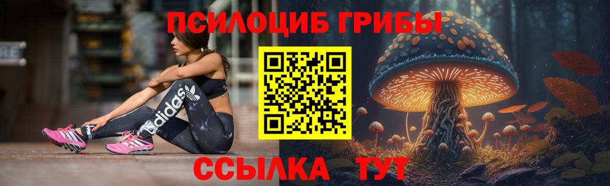 Галлюциногенные грибы мухоморы Калач-на-Дону
