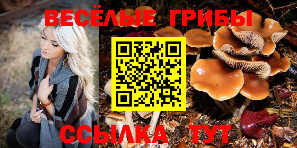 купить наркоту  Галлюциногенные грибы ЛСД  Псилоцибиновые грибы Magic Shrooms  Вход с VPN  Калач-на-Дону 